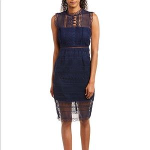 Bardot Navy Mariana Lace sheath dress